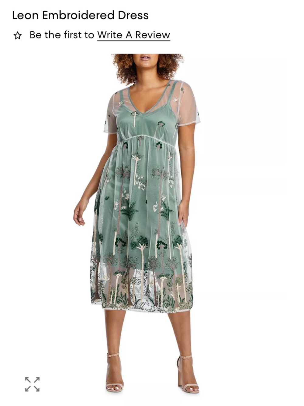 Embroidered Sheer Maxi Dress in Sage Green